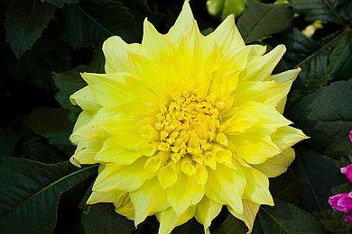 《星球大战绝地：幸存者》Steam在线峰值周末迎来新高